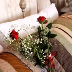 Griffon Hotel 3*