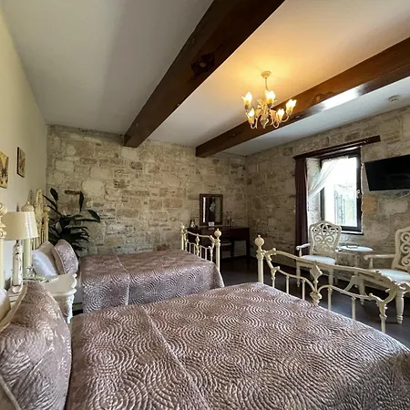 Griffon Hotel 3*