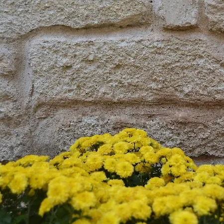 ホテル Griffon 3*