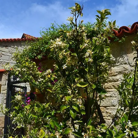 格里芬酒店 3* Yenifoca
