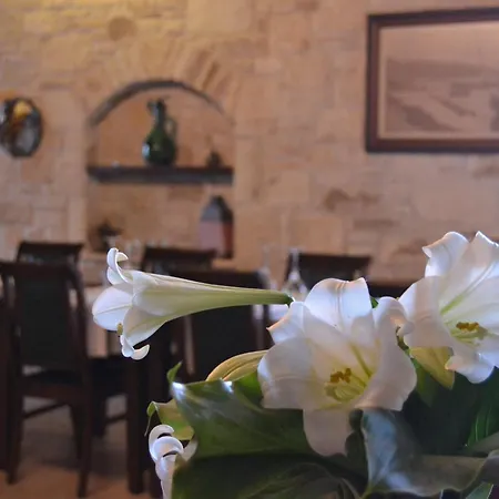 格里芬酒店 Yenifoca