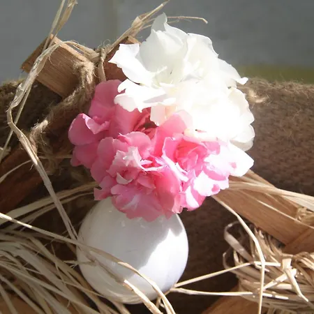 格里芬酒店 酒店 Yenifoca