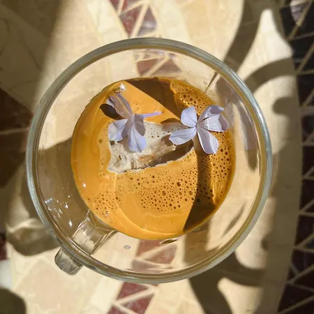 格里芬酒店 Yenifoca