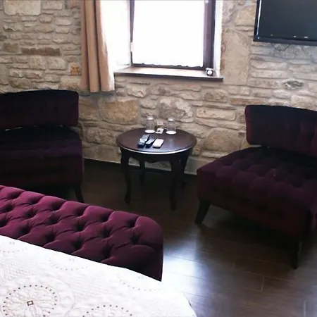 酒店 格里芬酒店 Yenifoca