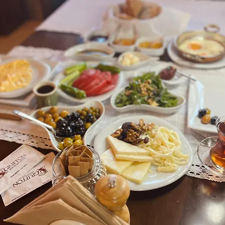 格里芬酒店 酒店 Yenifoca