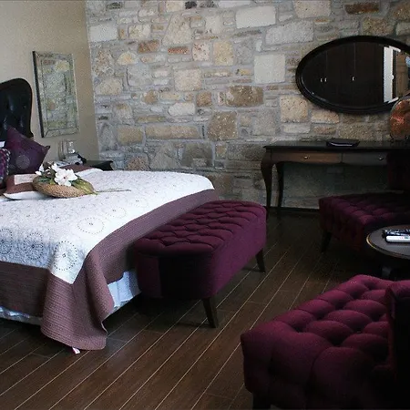 Griffon Hotell Yenifoca