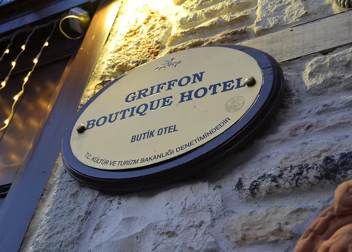 Griffon Hotel 3*