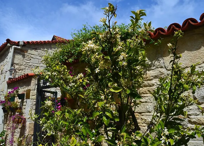 格里芬酒店 3* Yenifoca