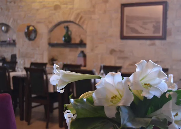 格里芬酒店 Yenifoca