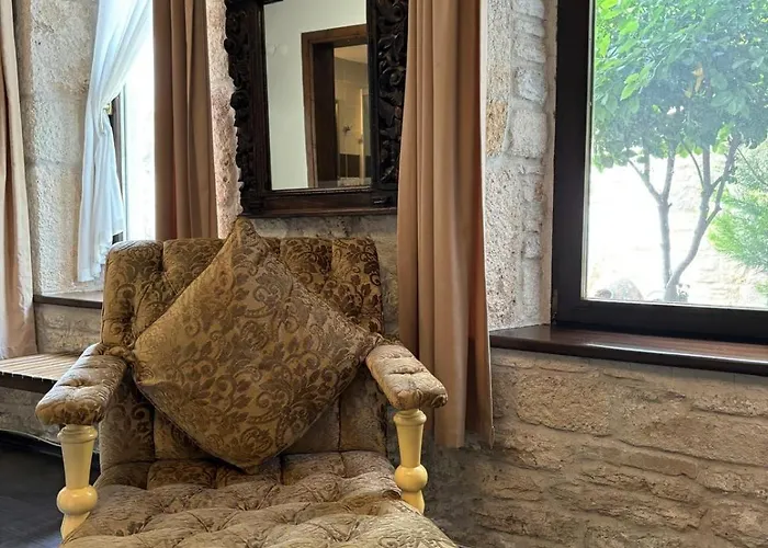 酒店 格里芬酒店 3*